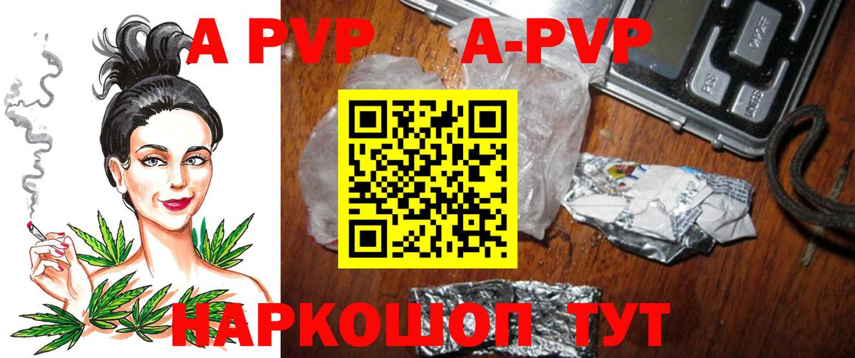 A-PVP СК Петрозаводск