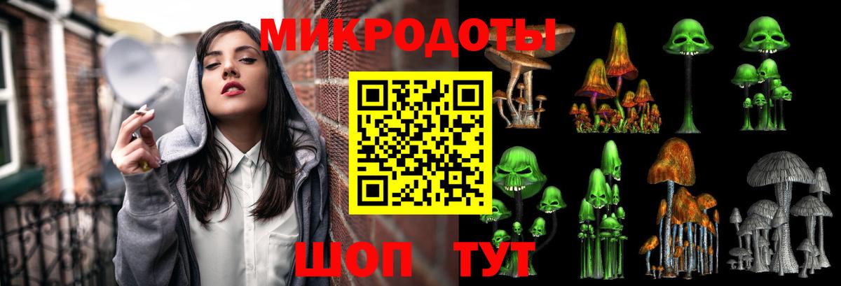 Галлюциногенные грибы мухоморы Петрозаводск